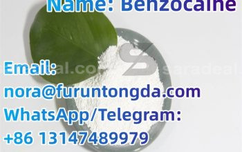 Factory Delivery Benzocaine CAS 94-09-7