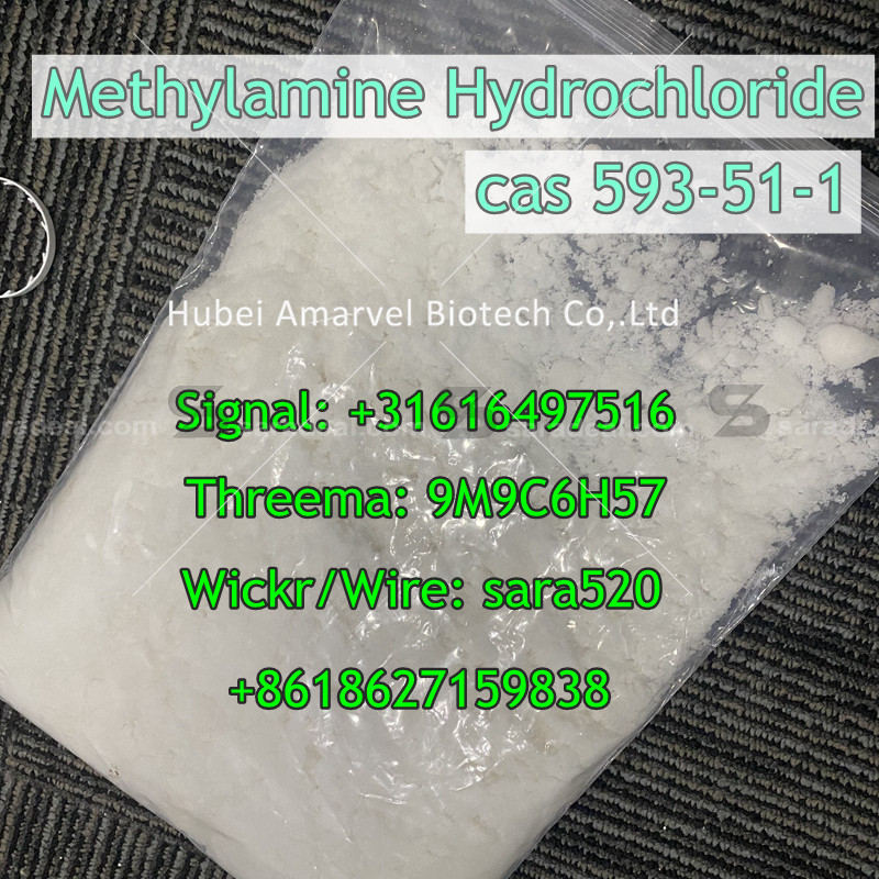 +8618627159838 CAS 593-51-1 Methylamine HCL