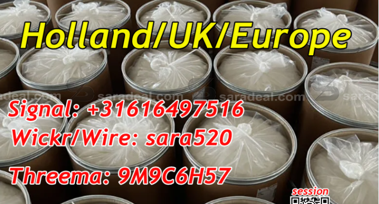 +8618627159838 Holland UK CAS 5449-12-7 BMK Powder