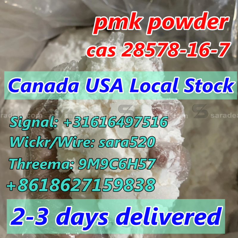 Pure Pmk Ethyl Glycidate CAS 28578-16-7 Ca USA