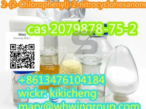 2(2-Chlorophenyl)2-nitrocyclohexanone 2079878-75-2