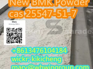 Safe shipping New BMK Powder cas 25547-51-7 +86-13