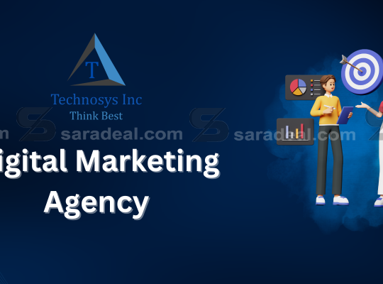 Visionary Digital Marketing Agency in Delhi NCR