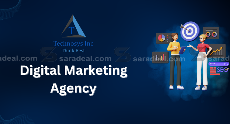 Visionary Digital Marketing Agency in Delhi NCR